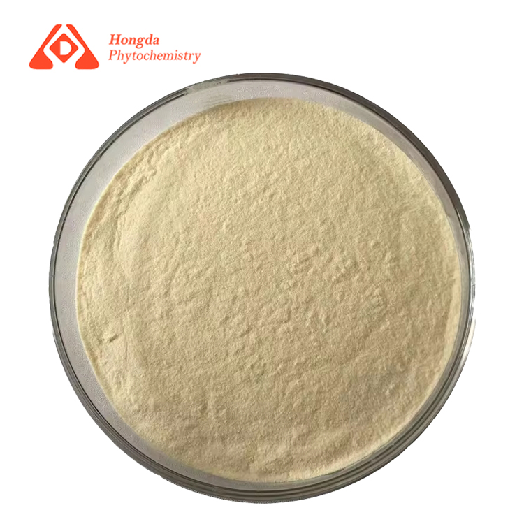 Chromium Enriched Yeast